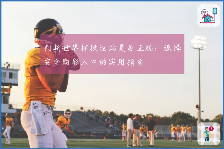 判断世界杯投注站是否正规，选择安全购彩入口的实用指南